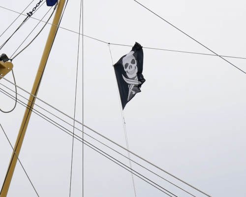vlaggen-piratenvlag